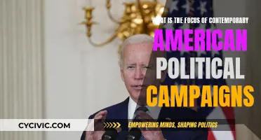 American Political Campaigns: Focus on the Contemporary Issues