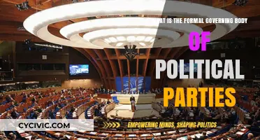 Understanding the Formal Governing Bodies of Political Parties: Structure and Role