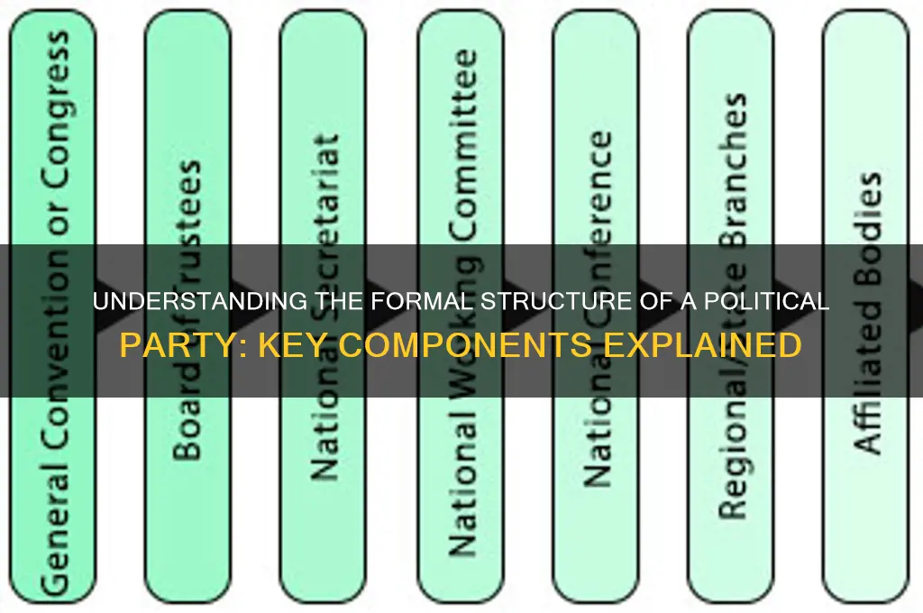 what is the formal structure of a political party
