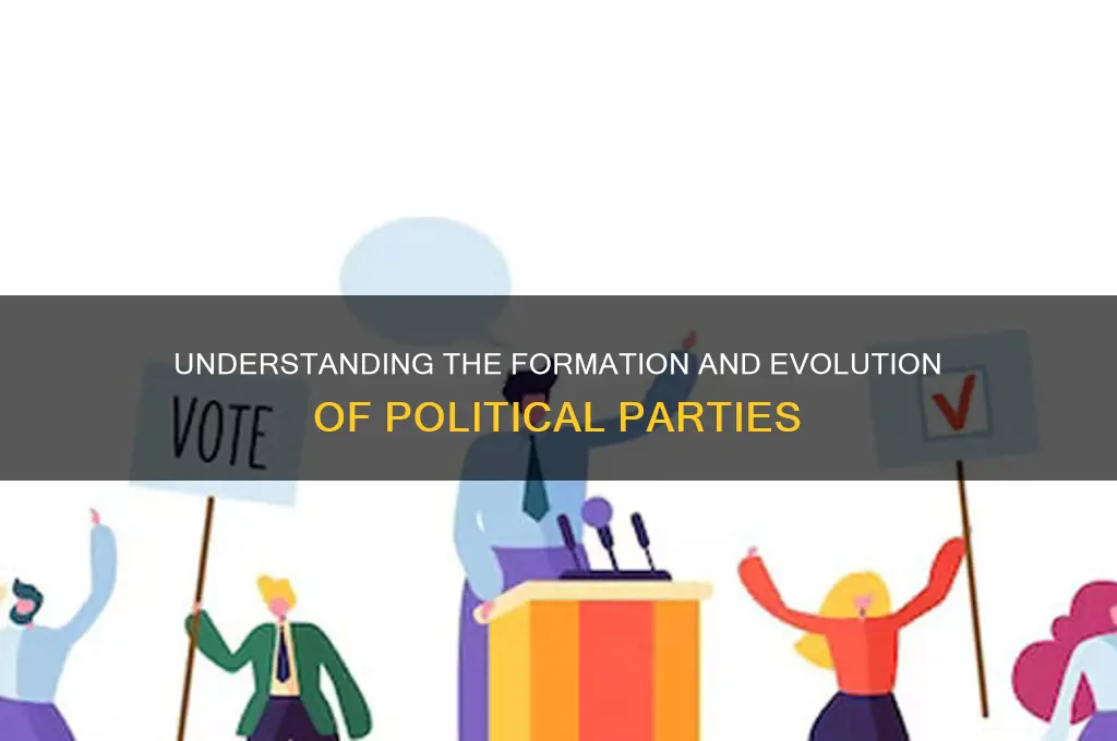 what is the formation of political parties