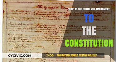 The Fourteenth Amendment: Citizenship, Due Process, and Equal Protection