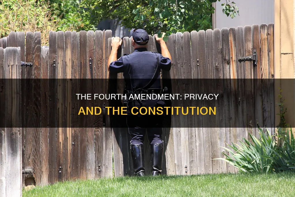 what is the forth amenmend of the constitution