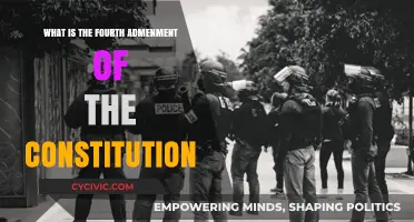 The Fourth Amendment: Protecting Citizens' Privacy