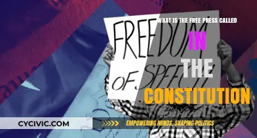 The Constitution's Free Press: A Right and a Pillar