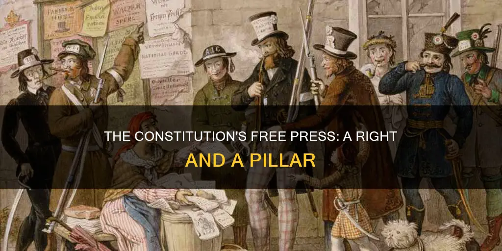 what is the free press called in the constitution