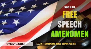 Understanding the Free Speech Amendment: Your Right to Speak