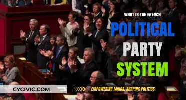 Understanding France's Political Party System: Structure, Influence, and Dynamics