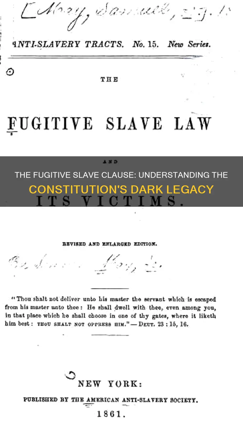 what is the fugitive slave clause in the constitution