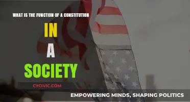 The Constitution: Society's Foundation and Framework