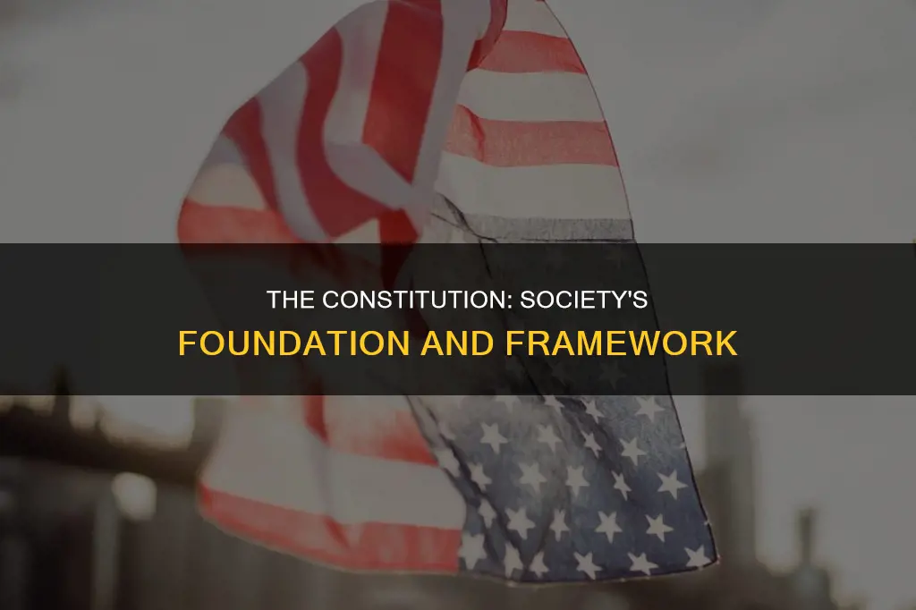 what is the function of a constitution in a society
