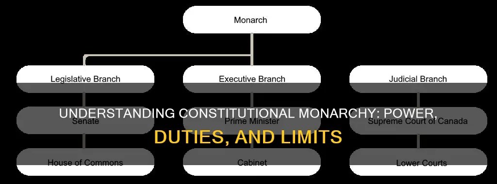 what is the function of a constitutional monarchy