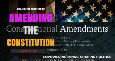 Amending the Constitution: A Vital Function