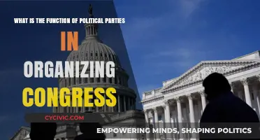 How Political Parties Structure and Influence Congress Operations