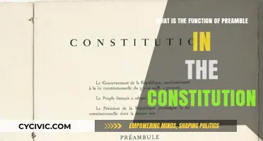 The Preamble: Constitution's Guiding Principles