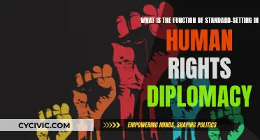Human Rights Diplomacy: Standard-Setting's Role