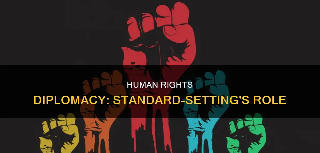 what is the function of standard-setting in human rights diplomacy