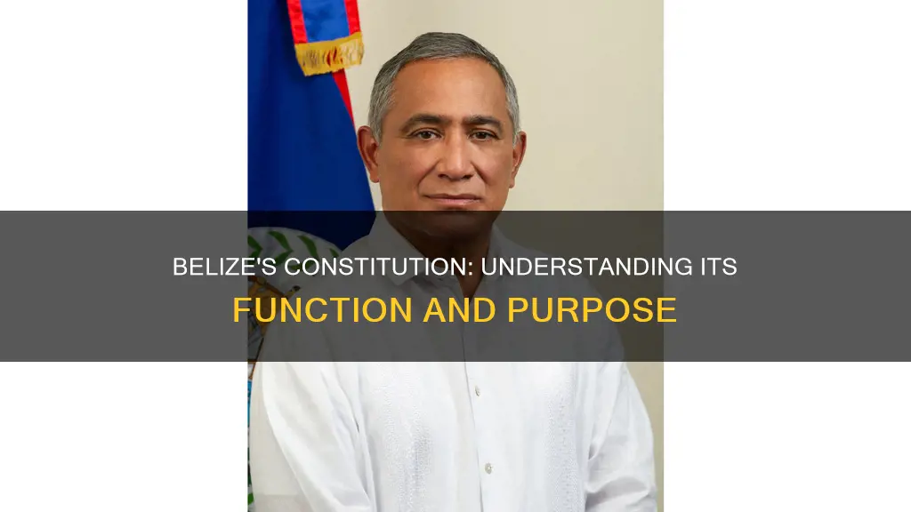 what is the function of the constitution of belize