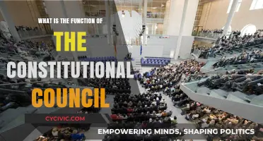Understanding the Constitutional Council's Role and Function