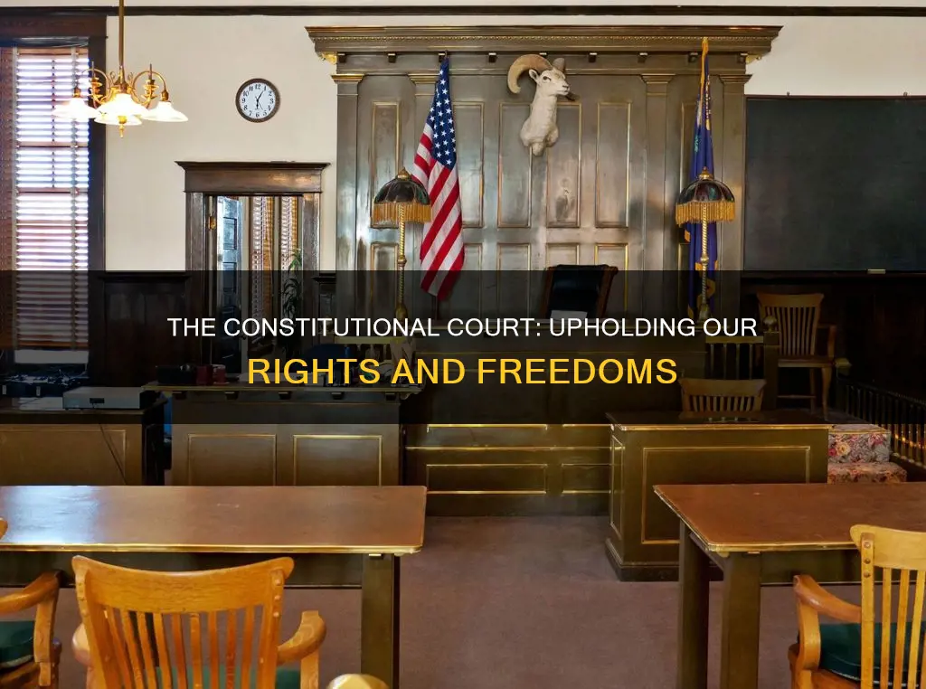 what is the function of the constitutional court