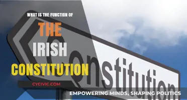 Understanding the Irish Constitution: Its Function and Purpose