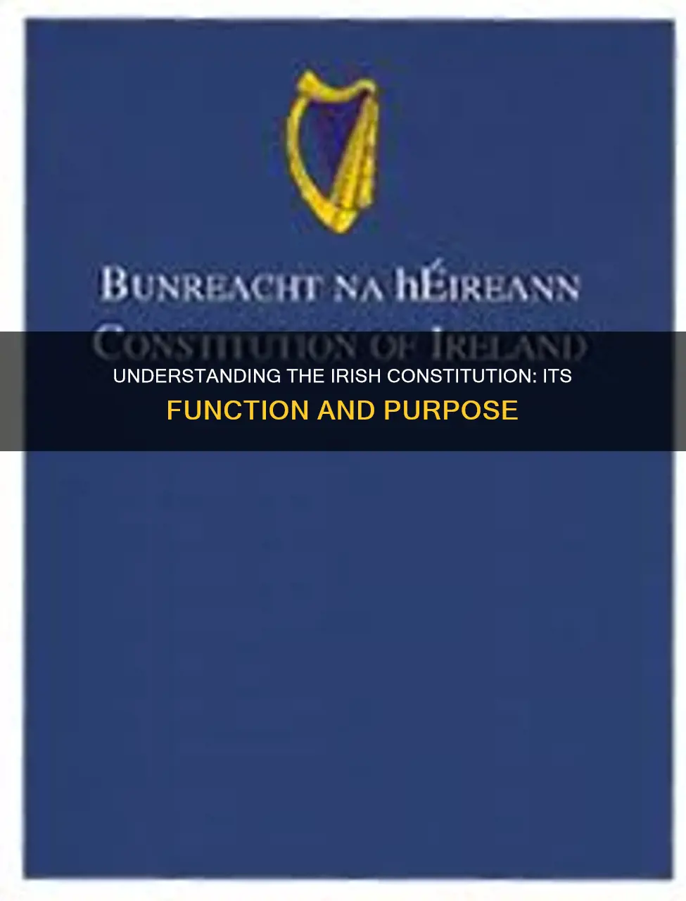 what is the function of the irish constitution