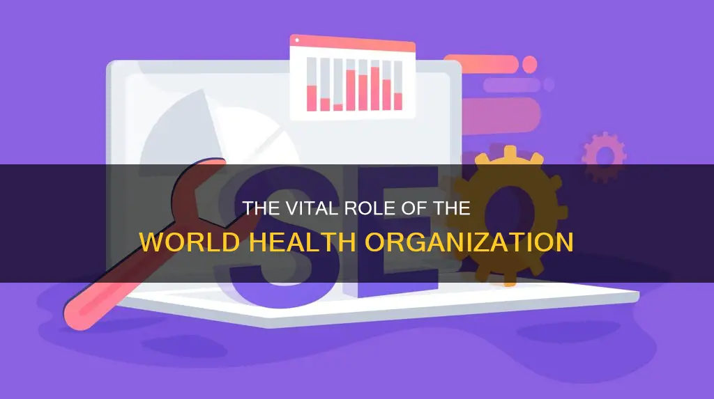what is the function of the world health organization