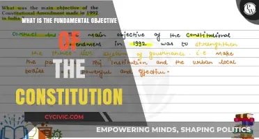 The Constitution's Core Aim: Protecting Individual Liberty