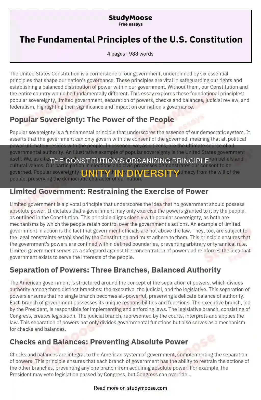 what is the fundamental organizing principle of the constitution