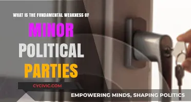 Minor Parties' Achilles' Heel: Understanding Their Fundamental Political Weakness