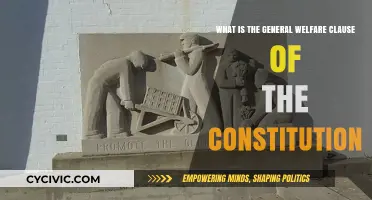 Understanding the Constitution's General Welfare Clause