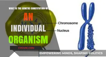 Genetic Constitution: Understanding Individual Organisms