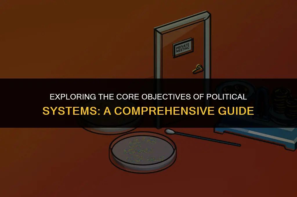 what is the goal of political system