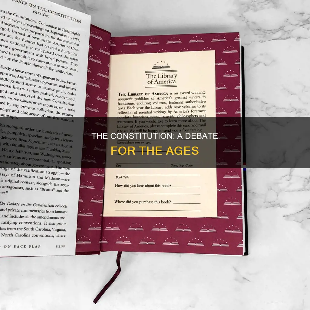 what is the great debate over the constitution