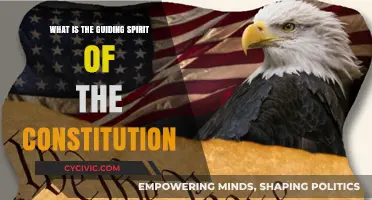 Spirit of the Constitution: Guiding Principles of India
