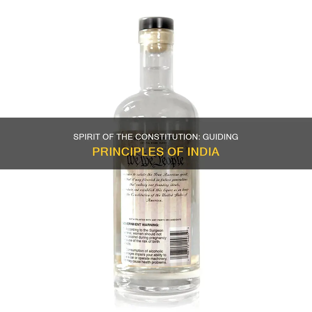 what is the guiding spirit of the constitution