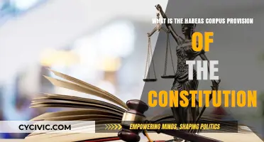 Habeas Corpus: The Constitution's Freedom Provision