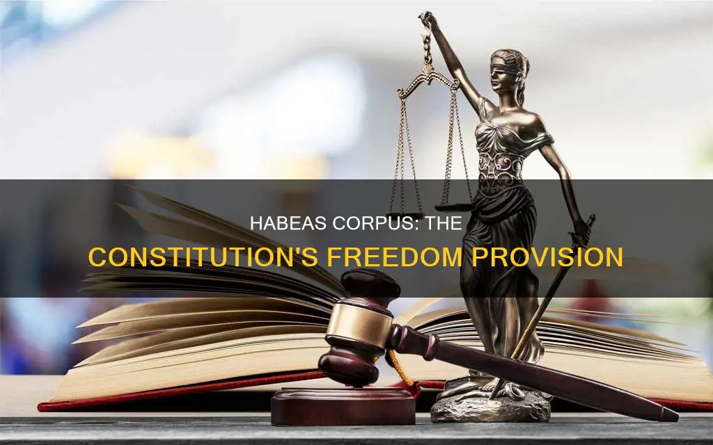what is the habeas corpus provision of the constitution