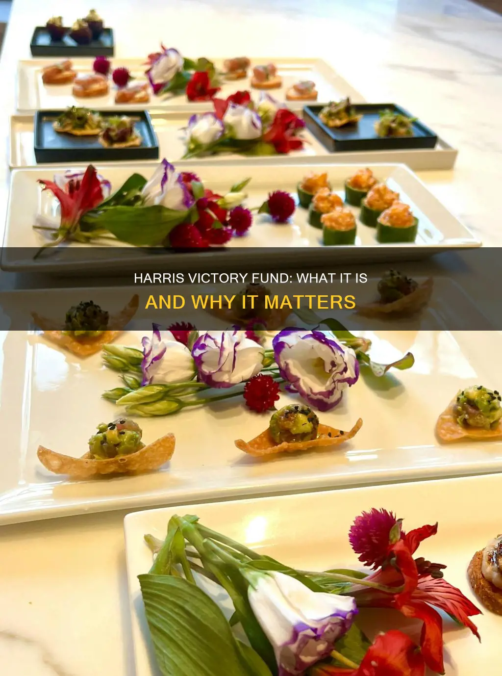 what is the harris victory fund