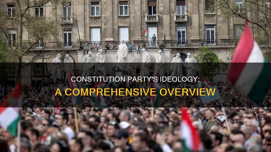 what is the ideology of the constitution party