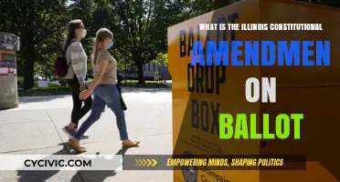 Illinois Ballot Includes Constitutional Amendment