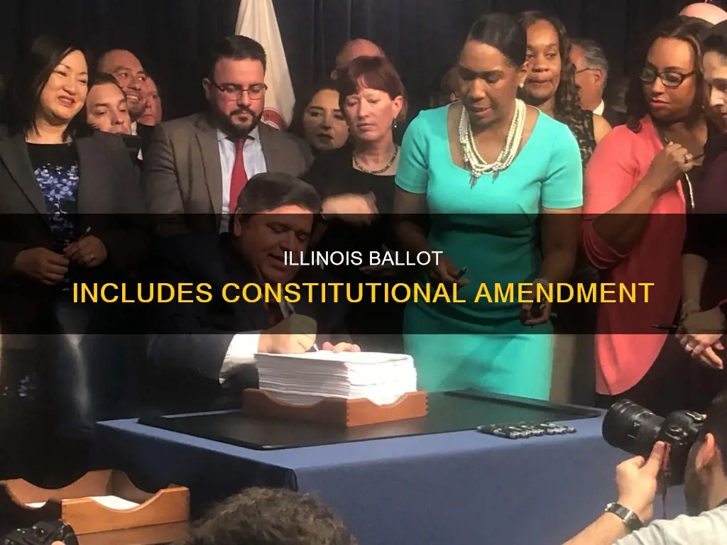 what is the illinois constitutional amendment on ballot