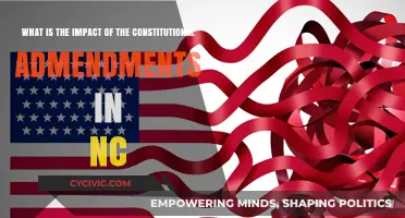 Constitutional Amendments: Shaping North Carolina's Future