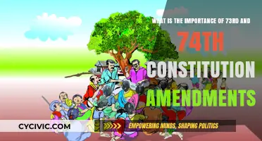 Empowering India's Local Governments: 73rd and 74th Amendments Explained