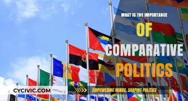Exploring the Vital Role of Comparative Politics in Today's World