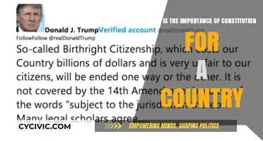 Constitution: A Country's Foundation and Future