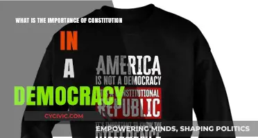 Constitution: Democracy's Vital Blueprint