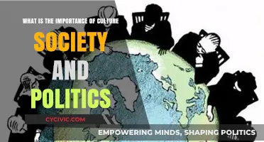 The Interplay of Culture, Society, and Politics: Shaping Our World