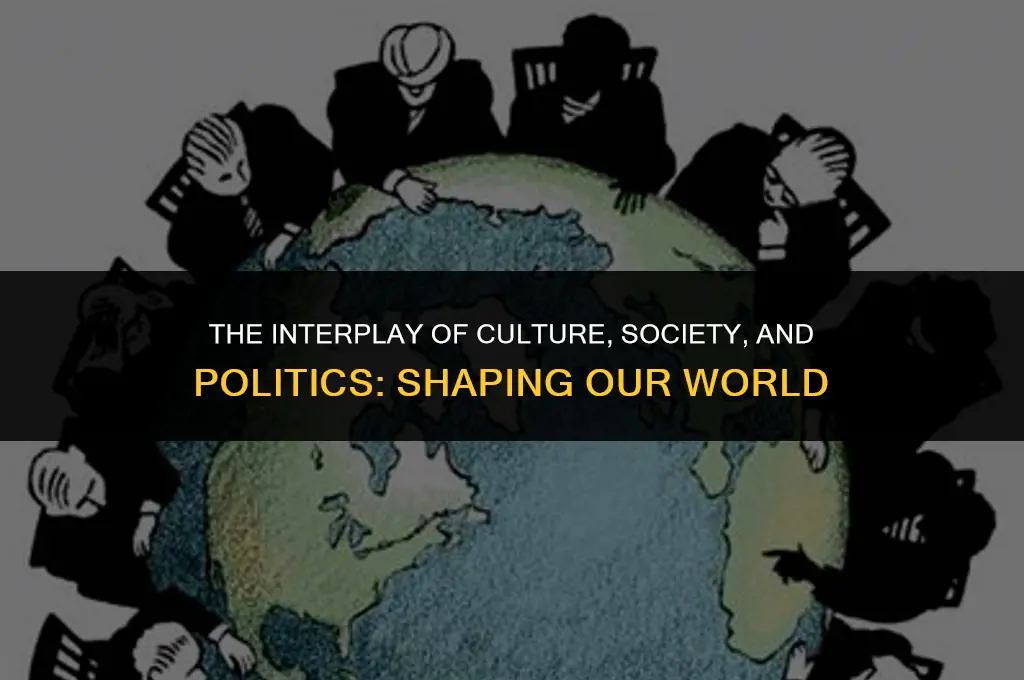 what is the importance of culture society and politics