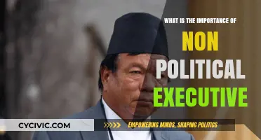 Empowering Governance: The Vital Role of Non-Political Executives
