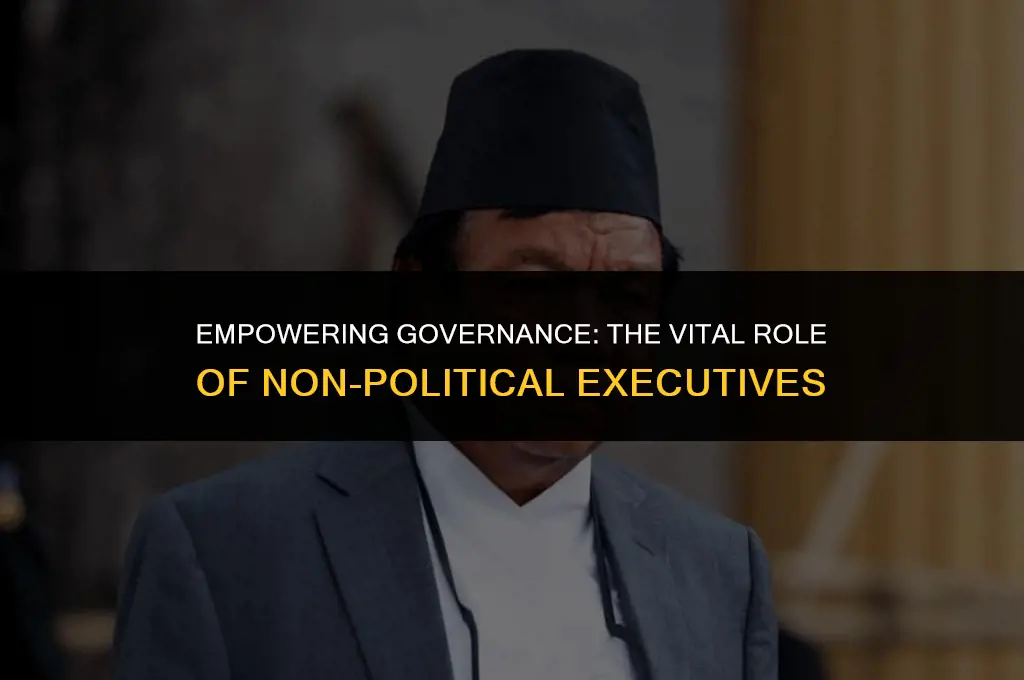 what is the importance of non political executive